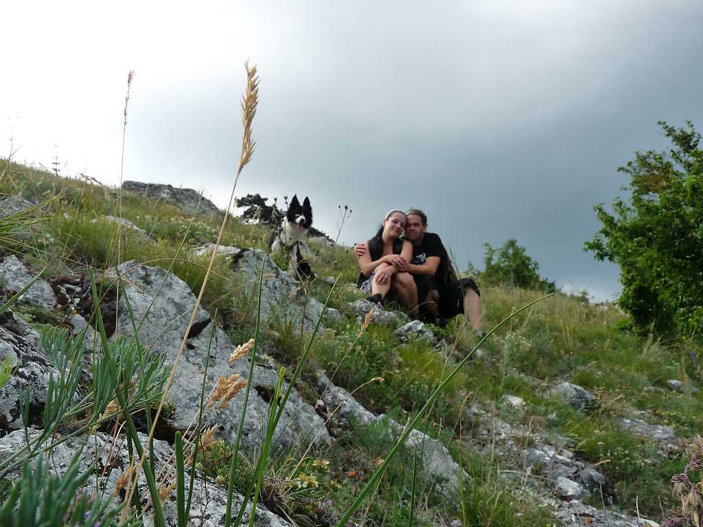 Hezky zaostřená tráva .-)